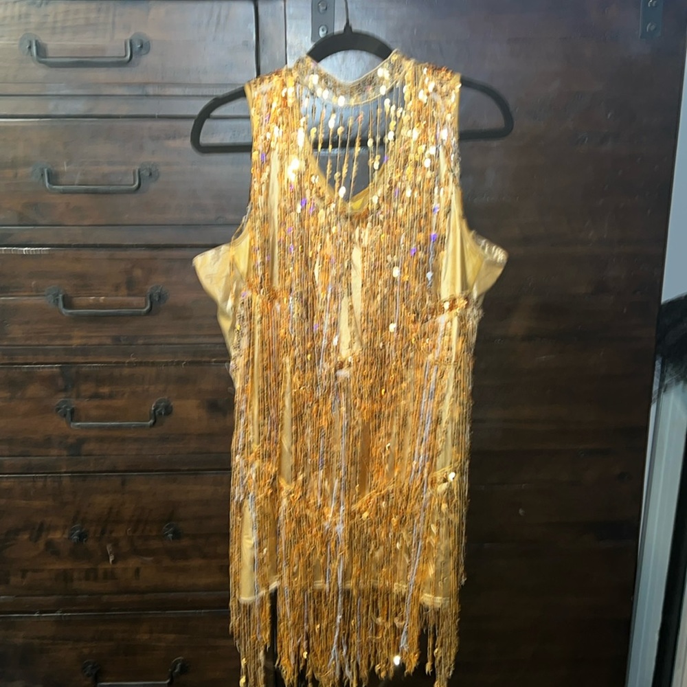 Gold sequin fringe flapper dress gorgeous sparkles plus size